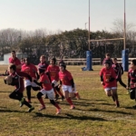 Rugby Mantova Minirugby